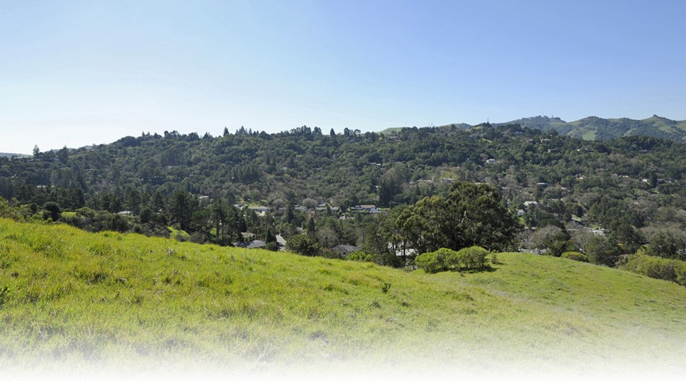 Orinda hills